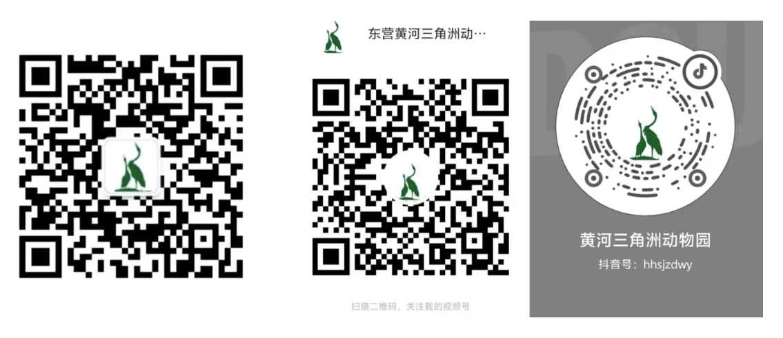微信截图_20241224144154.png